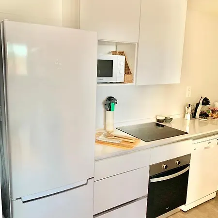Apartamento El Pisin De Aviles. Parking / Wifi Avilés
