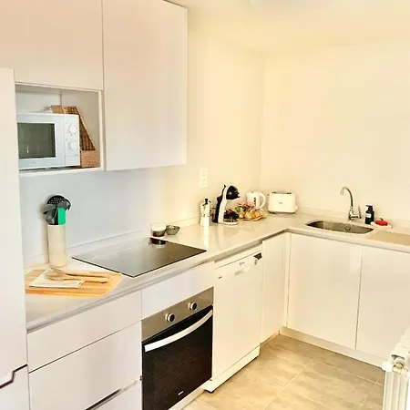 Apartment El Pisín De Avilés. Parking / Wifi *